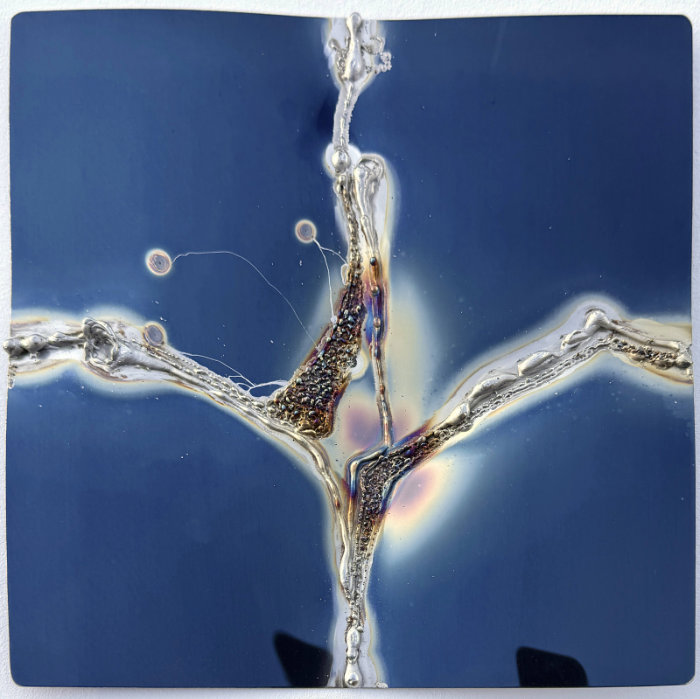 Blue, Polished Stainless Steel