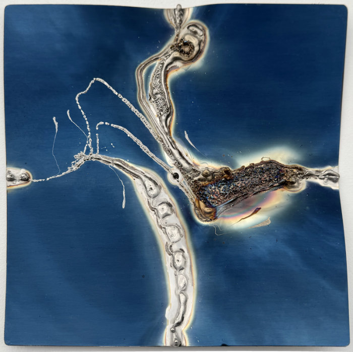 Blue, Polished Stainless Steel